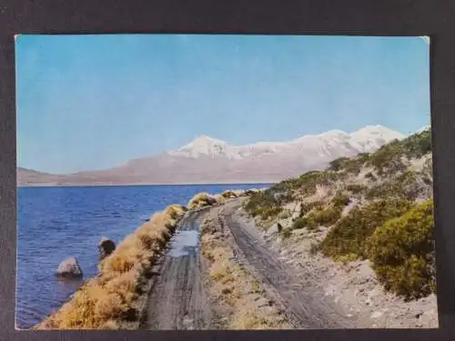 AK Postcard CPA Chile  Lago Chungará Altiplano Chileno