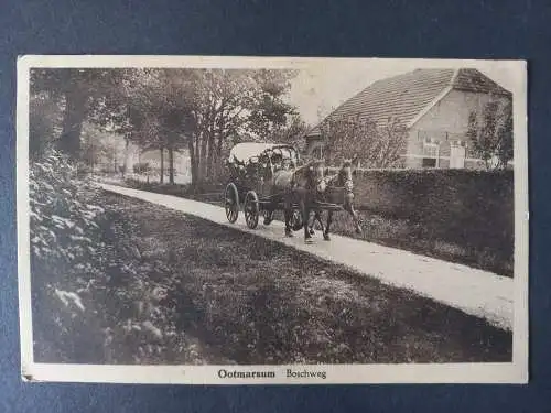 AK Postcard CPA Niederlande Ootmarsum - Boschweg