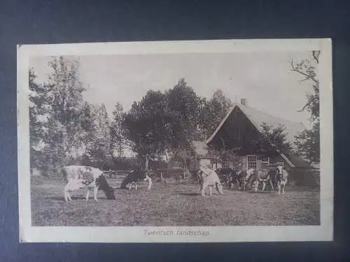 AK Postcard CPA Niederlande Twentsch Landschap 1930