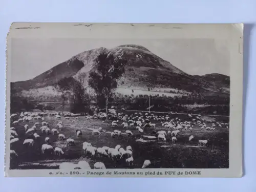 AK Postcard CPA France G.D'O. Pacage de Moutons au pied du Puy de DOME