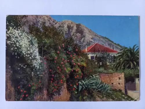 AK Postcard CPA France Menton Riviera di Pomente