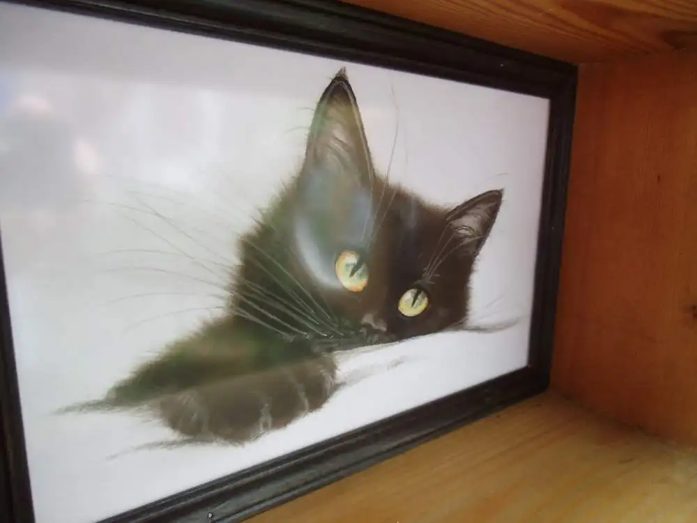 Antik Wandschränkchen Original Kohlezeichnung Hängeschränkchen Schwarze Katze Schränkchen Holzschränkchen Wandkästchen Badschränkchen 3