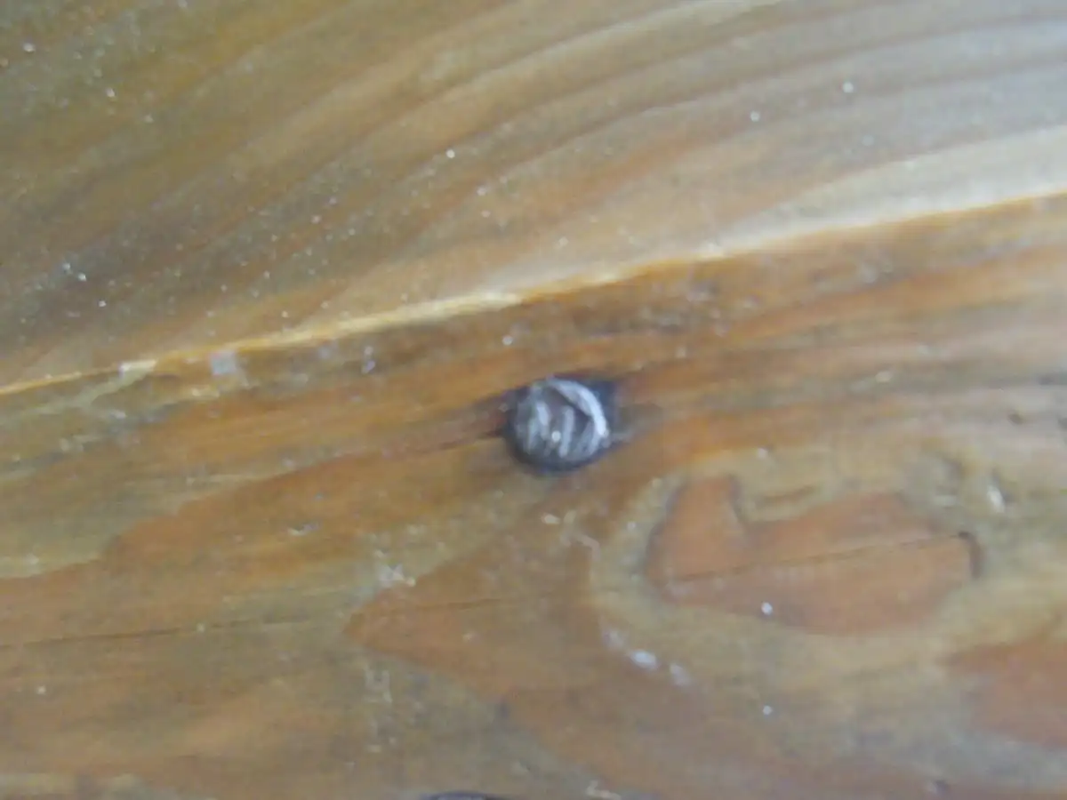 Antik Schubladenkästchen Nachtkästchen Bad Kästchen Shabby Nachttisch Schubladenkommode Kommode Beistelltisch Flurmöbel Landhaus Cottage 12