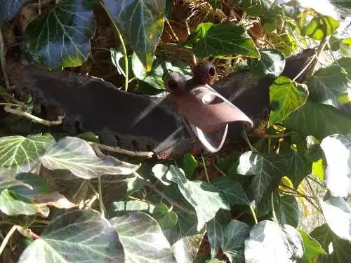 1 Eisen Fledermaus Vogel Tier Wanddeko Gartendeko Eisendeko Rost Rostdeko Gartenschmuck Vintage Brocante Skulptur Drache Landhaus Cottage 