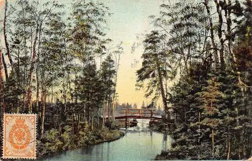 A036 Finnland 1909 Perkjarvii Kyynara Valilla See Brücke Wald Vintage Postkarte