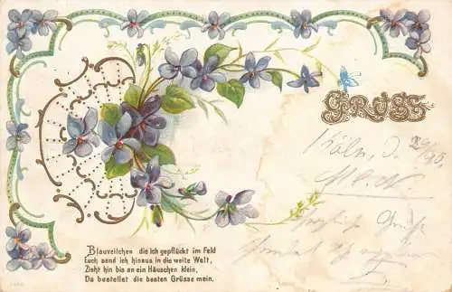 Gruss Grüße Freundschaft 1901 Veilchen Blumen Blätter Prägepostkarte