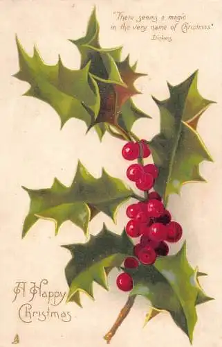 A054 Weihnachtsgrüße Heiliger Baumzweig Zweig Dickens Zitat Vintage Postkarte