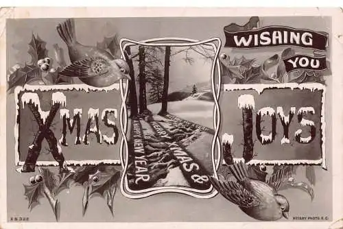 A053 Weihnachtsgrüße 1907 Vögel Mistelzweig Weihnachtsfreuden Bäume Schatten Postkarte