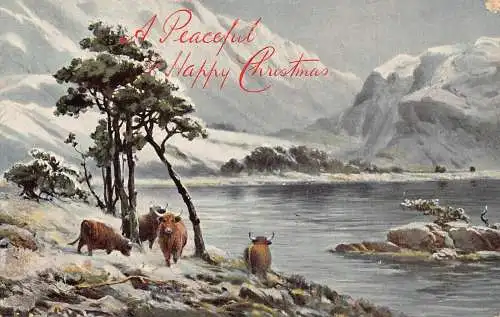 A053 Weihnachten Winter Landschaft See Baum Stiere Berge Vintage Postkarte