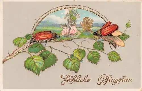 Pfingstgrüße Mai Käfer Blätter Passepartout Landschaft Postkarte