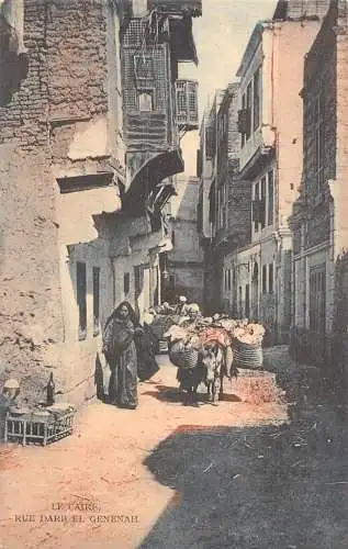 A084 Ägypten Kairo Caire Rue Darb el Genenah Esel Pflegeware Bauern Postkarte
