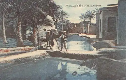 L280 Ägypten Alexandria Landschaft Fluss Kamel und Mann vorbei Brücke Postkarte
