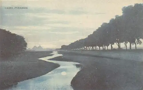 L280 Ägypten Pyramiden Kairo Baumreihe Fluss Vintage Postkarte