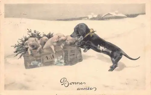 L371 Neujahrsgrüße 1921 Dackelkiste voll Ferkel Glück Vintage Postkarte