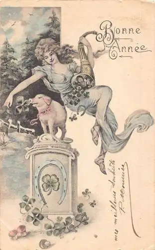 L375 Neujahrsgrüße 1903 Dame Kleeblatt Schwein Füllhorn Pilze Postkarte