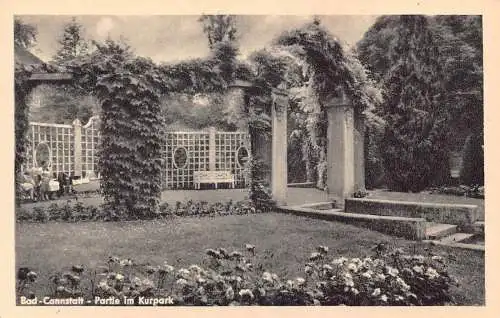 L322 Deutschland Bad Cannstatt Kurpark Garten Blumen Vintage Postkarte