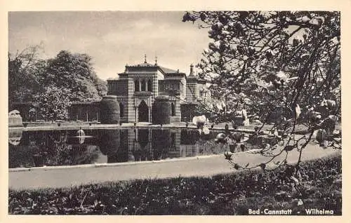 L322 Deutschland Schloss Cannstatt Wilhelma Teich Magnolie Blume Vintage Postkarte