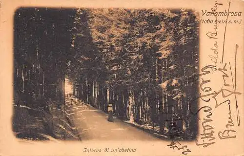 Italien Vallombroso Interno di un'abetina Vintage Postkarte