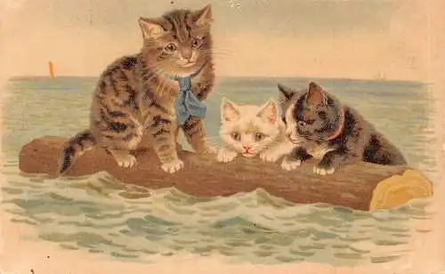 L224 Grüße Katzen auf Baumstamm Vintage Postkarte