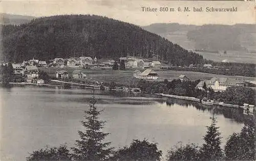 L203 Deutschland 1913 Titisee Bad Schwarzwald Vintage Postkarte