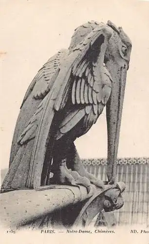 Frankreich Paris Notre-Dame Chimeres Storch Statue Wasserspeier Postkarte