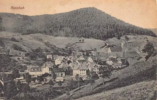 L201 Deutschland 1919 Alpirsbach Panoramablick Vintage Postkarte