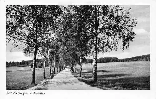 L201 Deutschland Bad Wörishofen Bickenallee Straße Bäume RPPC Vintage Postkarte