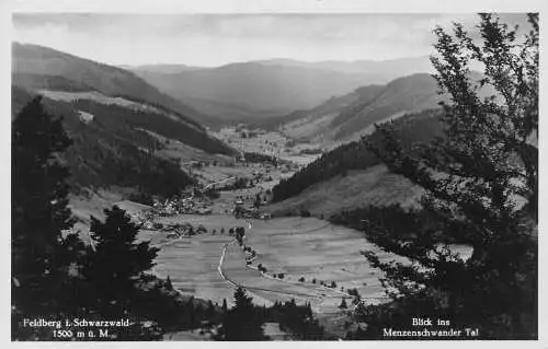 L186 Deutschland Feldberg i Schwarzwald Blick ins Menzenschwander Tal RPPC Postkarte