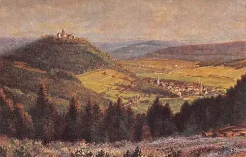 L199 Deutschland Der Odenwald Neustadt mit Burg Breuberg Vintage Postkarte