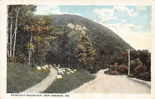 US Maine Newport Mountain Bar Harbor Vintage Postkarte
