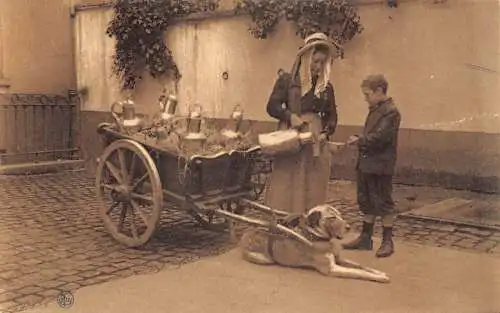 Flämisches Milchmädchen Laitiere Flamande Hund gezogener Wagen Vintage Postkarte