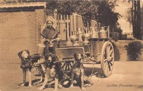 Flämisches Milchmädchen Laitiere Flamande Hunde gezogener Wagen Vintage Postkarte