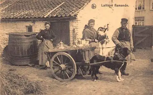 Flämisches Milchmädchen Laitiere Flamande Hunde gezogener Wagen Vintage Postkarte
