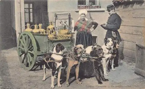 Flämisches Milchmädchen Laitiere Flamande Hunde gezogener Wagen Polizist Vintage Postkarte