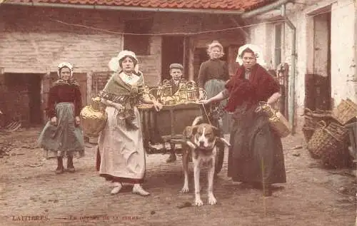 Flämisches Milchmädchen 1905 Laitiere Flamande Hund gezogener Wagen Vintage Postkarte