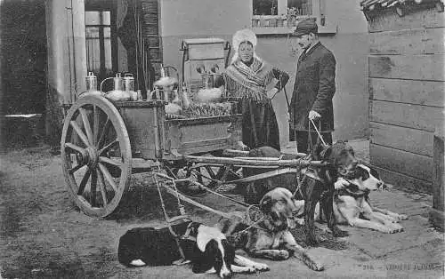 Flämisches Milchmädchen Laitiere Flamande Hunde gezogener Wagen Vintage Postkarte