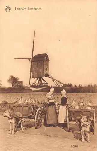 Flämisches Milchmädchen Laitiere Flamande Hunde gezogener Wagen Windmühle Vintage Postkarte