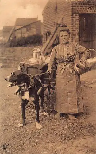 Flämisches Milchmädchen Laitiere Flamande Hund gezogener Wagen Vintage Postkarte