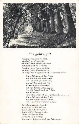 Liederkarte Ich bin gut Mir geht's gut Wald Vintage Postkarte