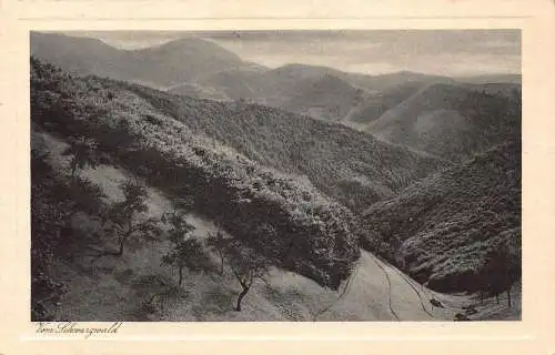 L017 Deutschland 1931 Schwarzwald Schwarzwald Oppenau Vintage Postkarte