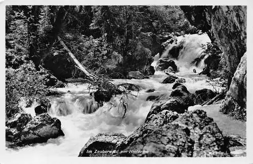 L017 Deutschland Im Zauberwald am Hintersee Wasserfall RPPC Vintage Postkarte