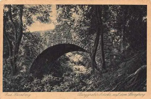 L021 Deutschland 1927 Bad Harzburg Burggrabenbrücke Brücke Vintage Postkarte