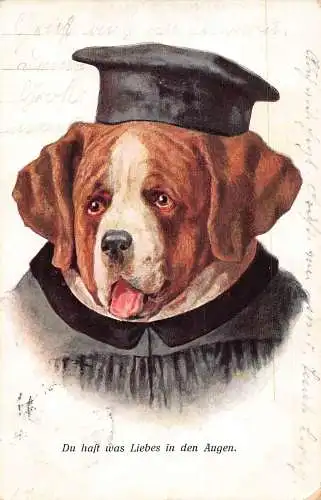 A126 Künstlerkarte 1912 Humanisierter Hund Absolvent Uniform Süß in den Augen Postkarte