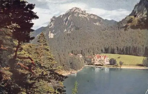 A124 Deutschland 1910 Hohenschwangau Alpsee Alpenrose Neuschwanstein Postkarte