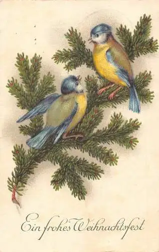 Weihnachtsgrüße 1939 Vogelpaar sitzend auf Tannenzweig Vintage Postkarte