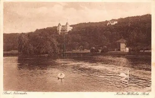 Deutschland Bad Neuenahr Kaiser Wilhelm Park Schwänesee Vintage Postkarte