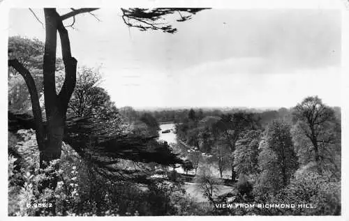 England 1964 Ansicht von Richmond Hill RPPC Vintage Postkarte