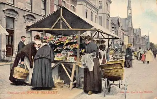 Niederlande Groeten uit Noord Brabant Blumenmarkt Vintage Postkarte