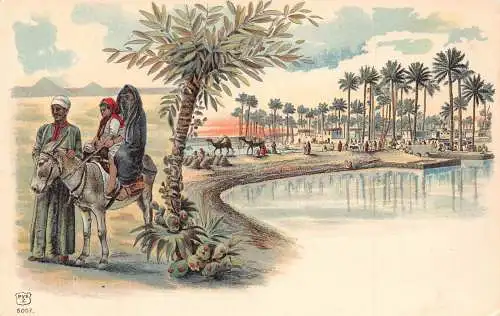 Ägypten ethnische Typen reiten Esel Oase Palmen Kamele Vintage Postkarte
