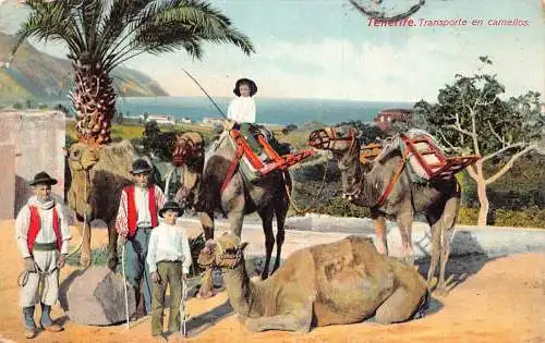 Spanien Teneriffa Transport auf Kamelen Ethnische Ureinwohner Vintage Postkarte